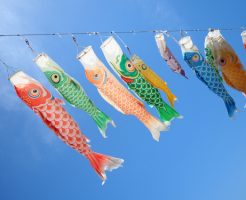 鯉のぼり 祭り 関東 関西