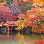 紅葉の見ごろ2018京都の紅葉ベストシーズン！ライトアップスポットは？