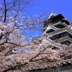 熊本城の花見！場所取りや時間、夜のライトアップは？