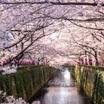 東京の花見！夜桜や屋台を楽しめる人気スポット厳選4選